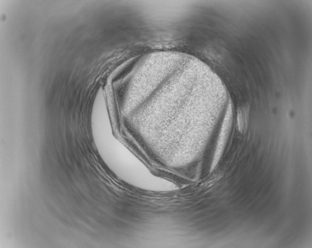 X0000054461444200508191650