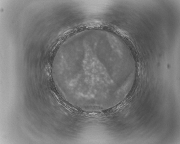 X0000054461445200508191650