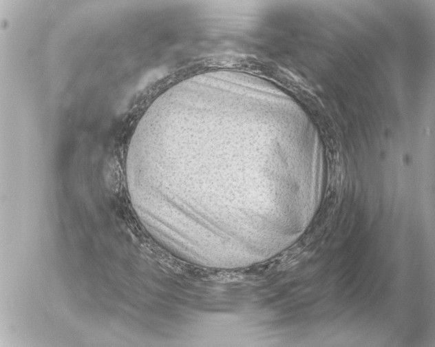 X0000054461446200508191650