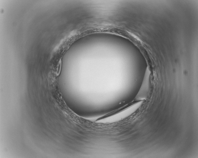 X0000054461447200508191650