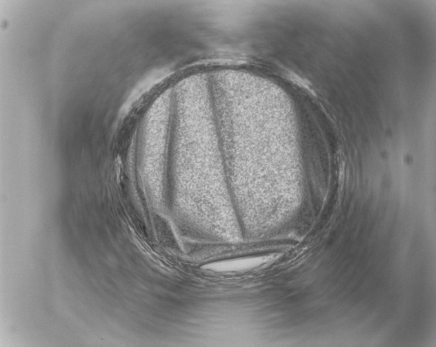 X0000054461448200508191650