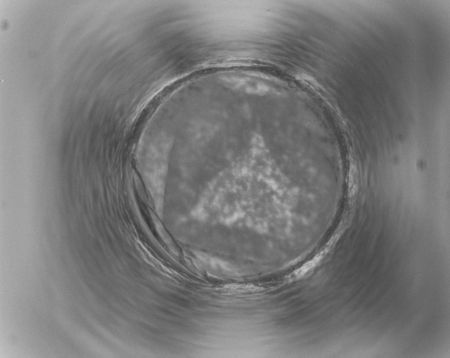 X0000054461449200508191650