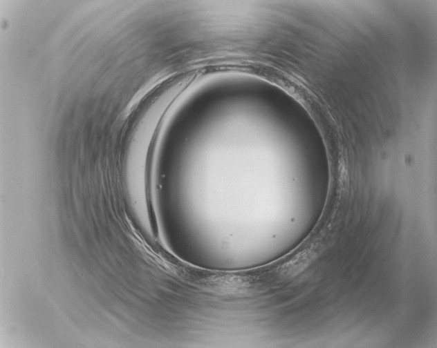 X0000054461450200508191650