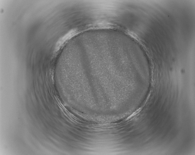 X0000054461451200508191650