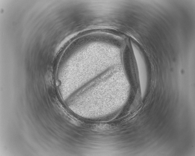 X0000054461452200508191650