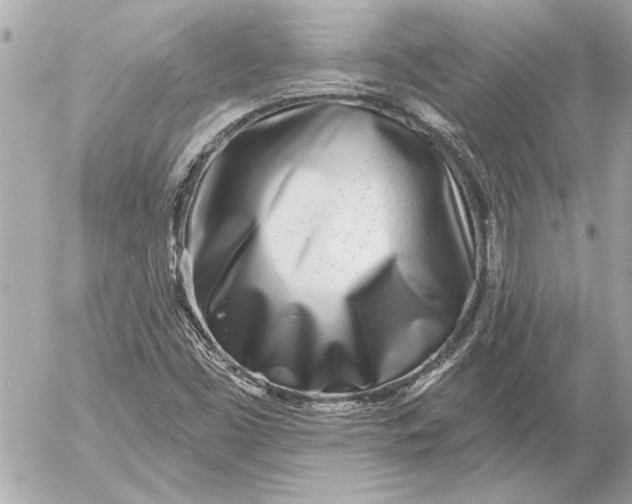 X0000054461453200508191650