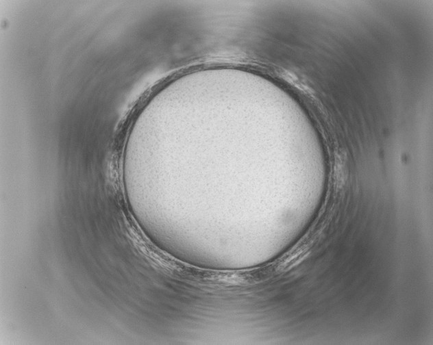 X0000054461454200508191650