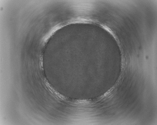 X0000054461455200508191650