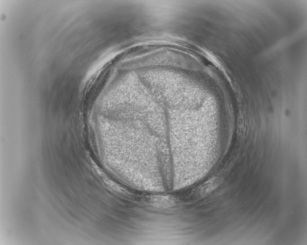 X0000054461456200508191650