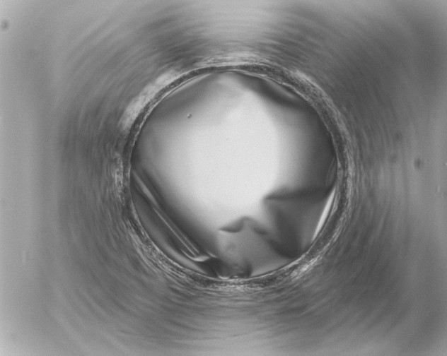 X0000054461457200508191650