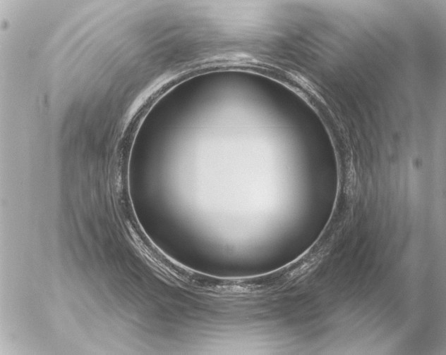 X0000054461458200508191650