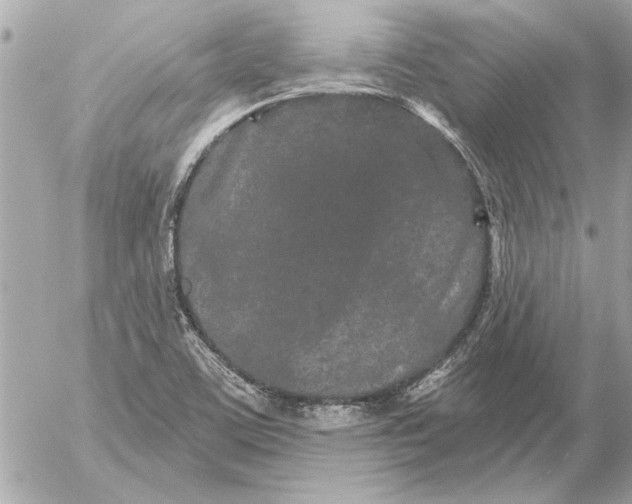 X0000054461459200508191650