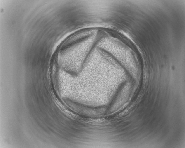 X0000054461460200508191650