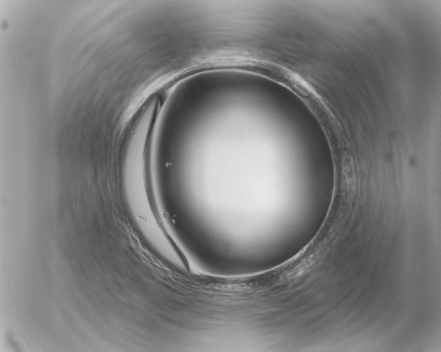 X0000054461461200508191650