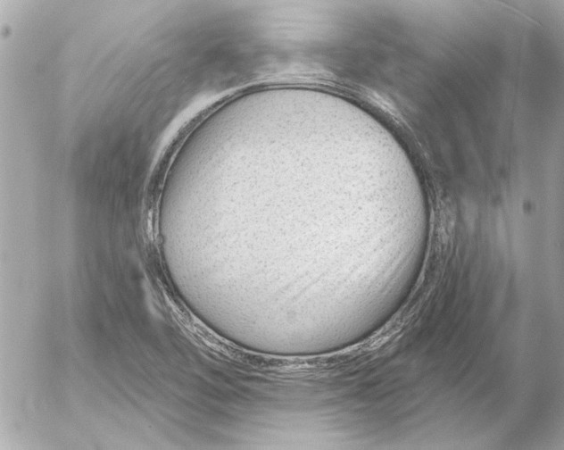 X0000054461462200508191650