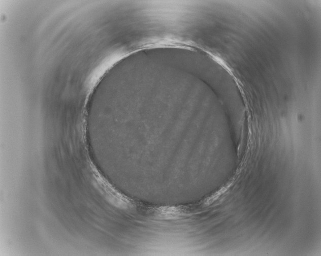 X0000054461463200508191650