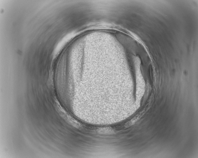 X0000054461464200508191650