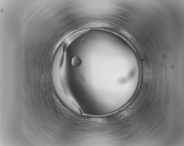 X0000054461465200508191650