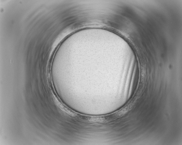 X0000054461466200508191650