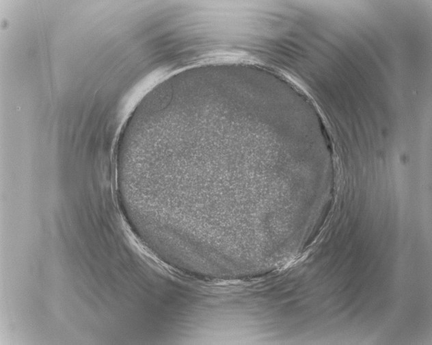 X0000054461467200508191650