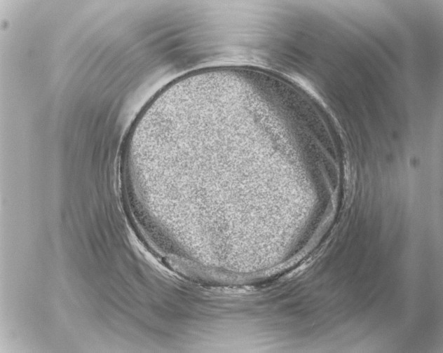 X0000054461468200508191650