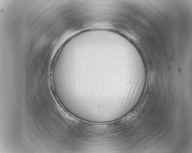 X0000054461470200508191650