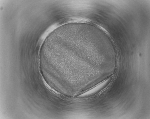 X0000054461471200508191650