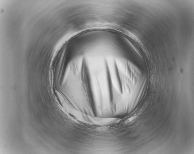 X0000054461472200508191650