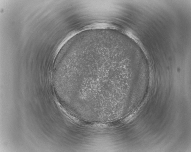 X0000054461473200508191650