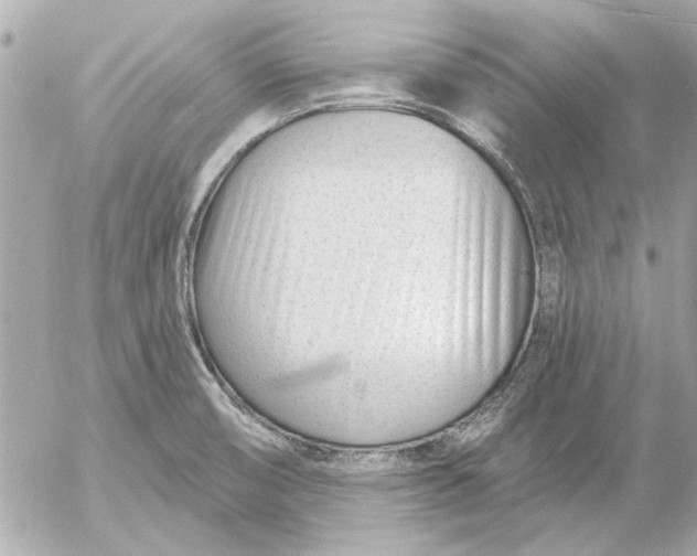 X0000054461474200508191650