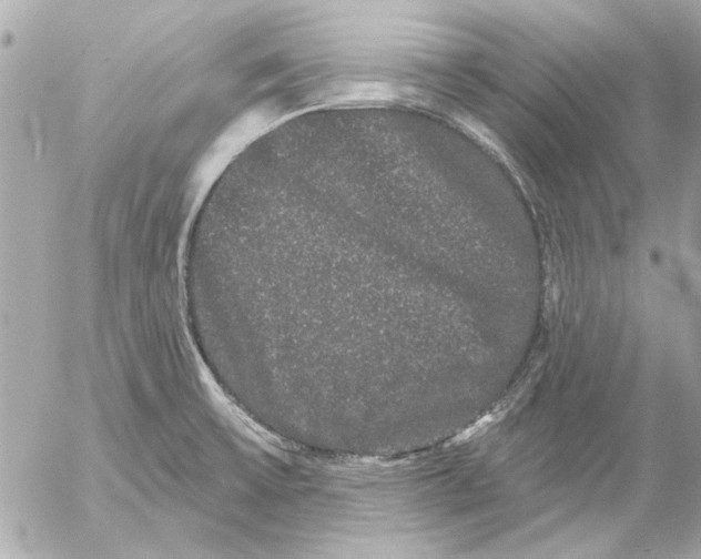 X0000054461475200508191650