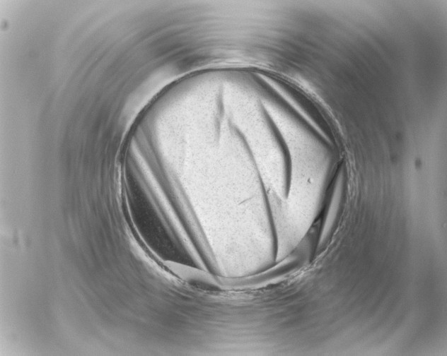 X0000054461476200508191650