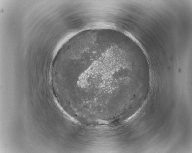 X0000054461477200508191650