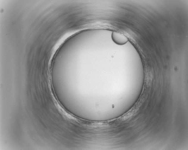 X0000054461478200508191650