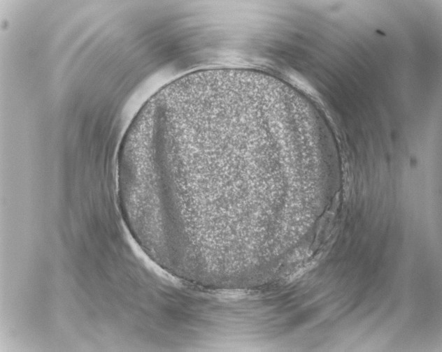 X0000054461479200508191650