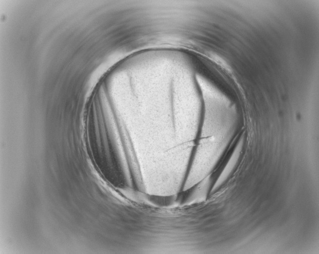 X0000054461480200508191650