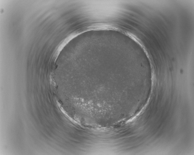 X0000054461481200508191650