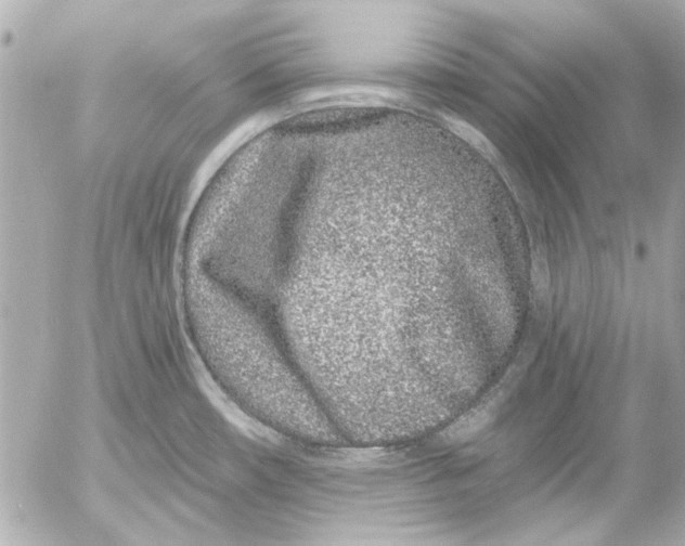 X0000054461482200508191650