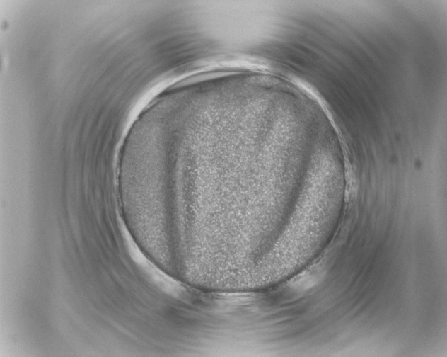 X0000054461483200508191650