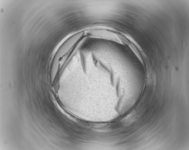 X0000054461484200508191650