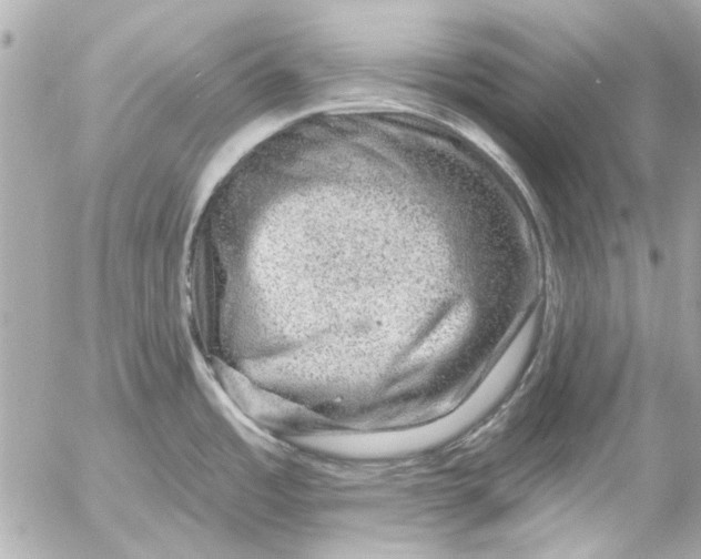 X0000054461485200508191650