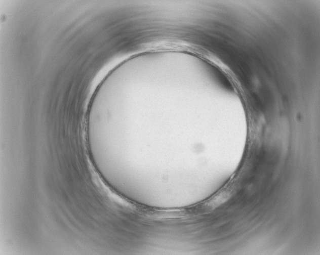 X0000054461486200508191649