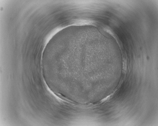 X0000054461487200508191649