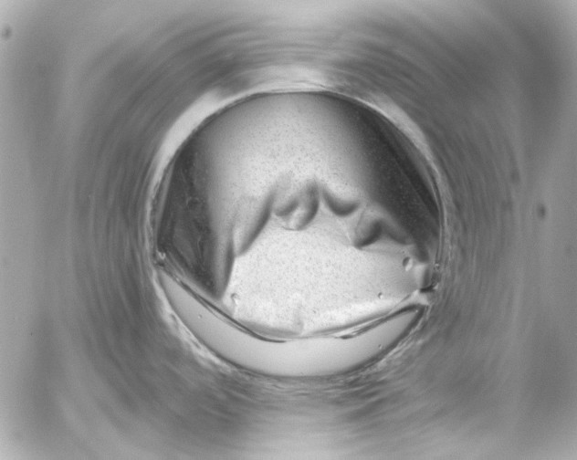 X0000054461488200508191649