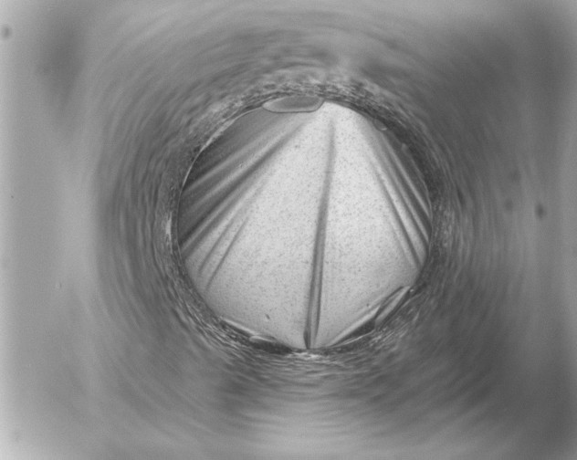 X0000054461489200508191649