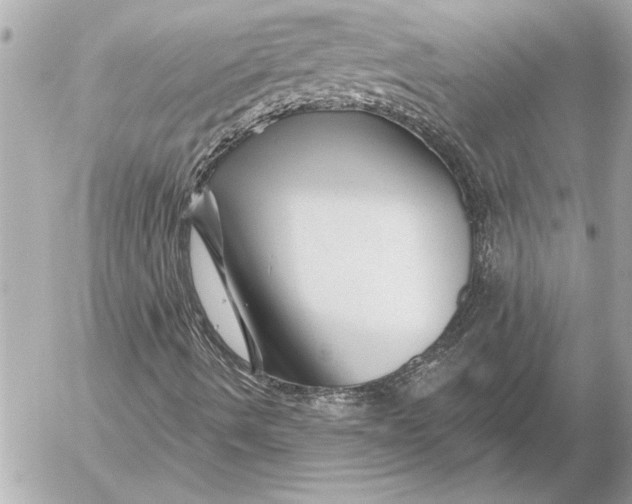 X0000054461490200508191649