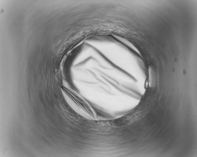 X0000054461491200508191649