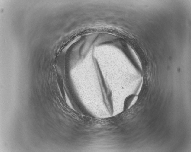 X0000054461493200508191649