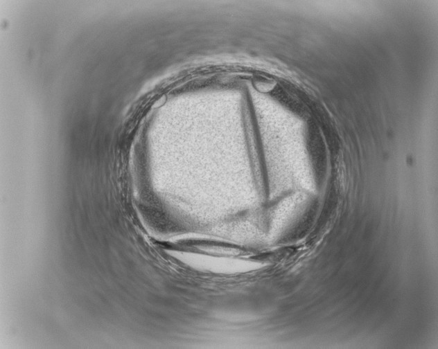 X0000054461494200508191649