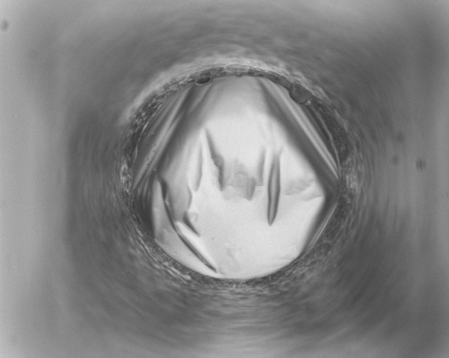 X0000054461495200508191649